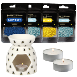 Bee Clean & Fresh Wax Burner Bundle