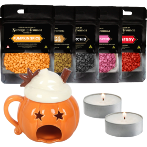 Pumpkin Spice Cosy Nights Wax Burner Bundle