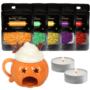 Pumpkin Autumn Collection Wax Burner Bundle